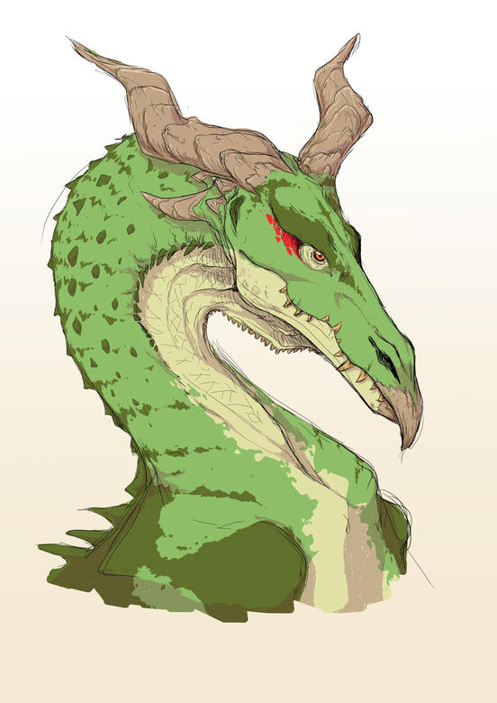 Dragon Dragon